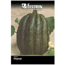 Pumpkin Seeds Mogango Sul Mineiro FELTRIN - 杏色 - 查看 2