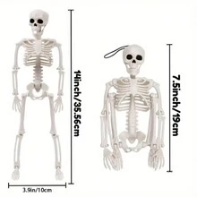 2 bộ xương trang trí toàn thân có thể tạo dáng, bộ xương chân thực để trang trí Halloween trong nhà/ngoài trời, tuyệt vời cho nhà và vườn - trắng - Xem 3