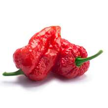 Rattlesnake Pepper Seeds (Bhut Jolokia) FELTRIN - 杏色 - 查看 5