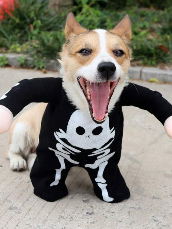 1 Stück Haustier Halloween Kostüm Leuchtend Skelett Outfit für Foto Requisiten und Verkleiden