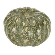 Jacarezinho Pumpkin Seeds (Thick Skin) FELTRIN - Apricot - View 5