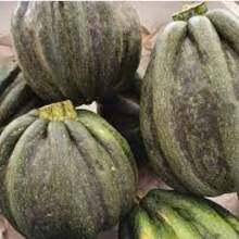 Pumpkin Seeds Mogango Sul Mineiro FELTRIN - 杏色 - 查看 5