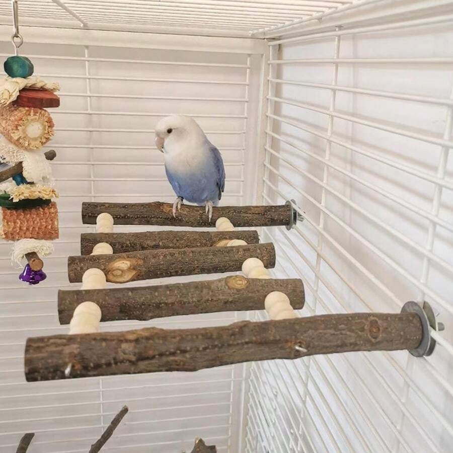 Snapshot of Bird Play Equipment And Play Ladder With Climbing Wall