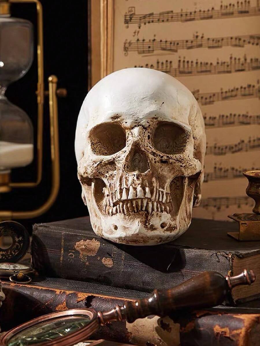 Life Size Human Skull Model 1:1 Replica Realistic Human Adult Skull Head Bone Model (White)Michale Myers,Black Myth Wukong,Day Of Dead Figures - Multicolor - View 1