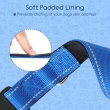 1 件装软垫反光狗项圈，带可调节安全扣，训练项圈，适合小型犬，M 码（35-50 厘米），蓝色