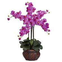 Phalaenopsis With Decorative Vase Silk Flower Arrangement