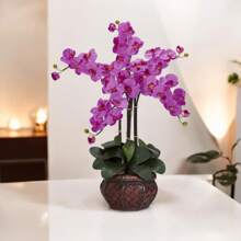 Phalaenopsis With Decorative Vase Silk Flower Arrangement