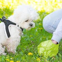 Poop Bag Roll Hygienic Bag Holder Pet Dog Walking Dogs - Choose Your Kit - 彩色 - 查看 7