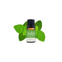 Concentrated Essential Oil For Diffuser Aromatizer Humidifier Room Oil Base - cây bạc hà - Xem 1