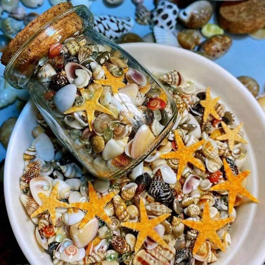 400pcs Natural Seashells & Shells, 6 Assorted Mini Types, Natural Specimen (With 1pc Glass Bottle) - Multicolor - View 1