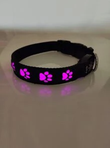 1 个 USB 可充电宠物发光项圈，闪烁/慢闪/常亮，硅胶材质，柔软亲肤，可修剪至所需尺寸，适合户外夜间散步安全，可充电项圈，电池续航时间长，红色/蓝色/粉色/绿色 - 彩色 - 查看 6