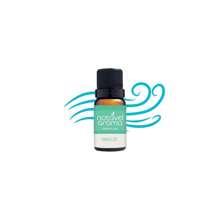 Concentrated Essential Oil For Diffuser Aromatizer Humidifier Room Oil Base - Brisa - Ver 1