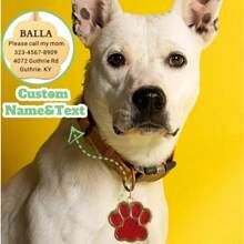 1 pieza Etiqueta de identificación personalizable con diseño de huella de animal lindo, se puede grabar con su número de teléfono y el nombre de su mascota, etiqueta de perro grabada, etiqueta de identificación de gato, etiqueta de identificación de mascota personalizada, utilizada para evitar que las mascotas se pierdan al aire libre, se puede colgar en el collar de gato/perro, colgante para mascota - Rojo - Ver 6