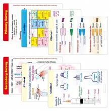 5 件双面护士徽章卡，口袋大小耐用 PP 护理参考卡，护理学校必备品，适合护士和学生，很棒的护士礼物 - 多色 套裝2 - 查看 9