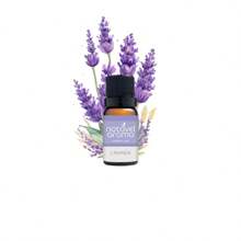 Concentrated Essential Oil For Diffuser Aromatizer Humidifier Room Oil Base - Lavender - View 1