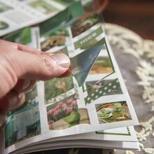 10 pezzi Adesivi, 5 pezzi Adesivi in PET, 5 pezzi Adesivi decorativi per diario creativo in carta Washi, Libro di adesivi in carta Washi per riviste