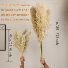 10 pièces/20 pièces Bouquet de fleurs de Pampas, Bottes de roseaux séchés de 22 pouces/39,37 pouces, pour la décoration intérieure du salon, la décoration de bureau de style fermier, la décoration de mariage, le style boho chic, le style vintage (blanc), la Saint-Valentin, les cadeaux, la décoration d'automne, l'automne, les plantes artificielles