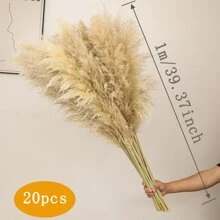 10 pièces/20 pièces Bouquet de fleurs de Pampas, Bottes de roseaux séchés de 22 pouces/39,37 pouces, pour la décoration intérieure du salon, la décoration de bureau de style fermier, la décoration de mariage, le style boho chic, le style vintage (blanc), la Saint-Valentin, les cadeaux, la décoration d'automne, l'automne, les plantes artificielles