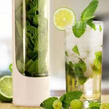 Herb Saver For Refrigerator, Herb Saver Pod, Vegetable Preservation Bottle, Fresh Herb Keeper For Cilantro, Mint, Parsley, Asparagus, Keeps Greens Fresh For 2-3 Weeks