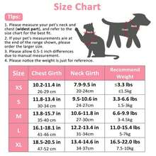 1 套粉色小狗猫背心背带和牵引带透气网眼宠物胸带，带反光条，可调节，适合小猫、小型犬和中型犬、吉娃娃、约克郡背带，户外散步、徒步旅行时使用 - 彩色 - 查看 6