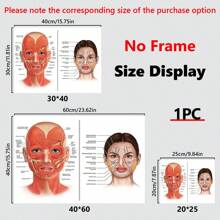 1 bức tranh vải treo tường, áp phích giải phẫu khuôn mặt, cơ và tĩnh mạch trên khuôn mặt, nghệ thuật phẫu thuật thẩm mỹ, chuyên gia mát-xa, tranh vải cổ điển, nghệ thuật treo tường thẩm mỹ viện làm đẹp ống tiêm - Nhiều màu - Xem 3