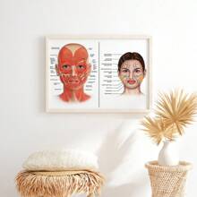 1 bức tranh vải treo tường, áp phích giải phẫu khuôn mặt, cơ và tĩnh mạch trên khuôn mặt, nghệ thuật phẫu thuật thẩm mỹ, chuyên gia mát-xa, tranh vải cổ điển, nghệ thuật treo tường thẩm mỹ viện làm đẹp ống tiêm - Nhiều màu - Xem 8