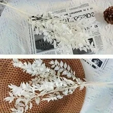 波西米亚风 4 件套干桉树套装 - 多功能白色叶子，适合家居、婚礼派对装饰 | 非常适合秋季、复活节、感恩节 | 桌面绿植装饰、情人节、礼物、生日、毕业典礼、家居装饰、圣诞装饰、房间装饰、圣诞节
