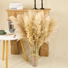 10 pièces/20 pièces Bouquet de fleurs de Pampas, Bottes de roseaux séchés de 22 pouces/39,37 pouces, pour la décoration intérieure du salon, la décoration de bureau de style fermier, la décoration de mariage, le style boho chic, le style vintage (blanc), la Saint-Valentin, les cadeaux, la décoration d'automne, l'automne, les plantes artificielles
