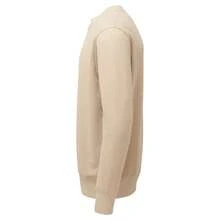 Anthem Unisex Adult Sweatshirt (Desert Sand) - 沙漠沙 - 查看 4