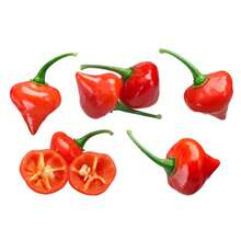 2X TOPSEED Peito De Moça Pepper Seeds - 杏色 - 查看 8