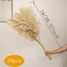 10 pièces/20 pièces Bouquet de fleurs de Pampas, Bottes de roseaux séchés de 22 pouces/39,37 pouces, pour la décoration intérieure du salon, la décoration de bureau de style fermier, la décoration de mariage, le style boho chic, le style vintage (blanc), la Saint-Valentin, les cadeaux, la décoration d'automne, l'automne, les plantes artificielles
