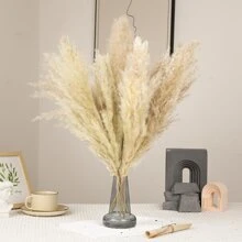 10 pièces/20 pièces Bouquet de fleurs de Pampas, Bottes de roseaux séchés de 22 pouces/39,37 pouces, pour la décoration intérieure du salon, la décoration de bureau de style fermier, la décoration de mariage, le style boho chic, le style vintage (blanc), la Saint-Valentin, les cadeaux, la décoration d'automne, l'automne, les plantes artificielles