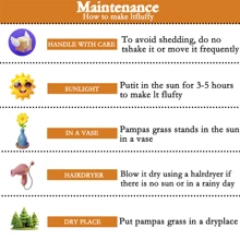 10 pièces/20 pièces Bouquet de fleurs de Pampas, Bottes de roseaux séchés de 22 pouces/39,37 pouces, pour la décoration intérieure du salon, la décoration de bureau de style fermier, la décoration de mariage, le style boho chic, le style vintage (blanc), la Saint-Valentin, les cadeaux, la décoration d'automne, l'automne, les plantes artificielles