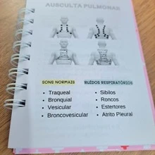 Caderno de Estágio para Enfermagem - Rosa empoeirado - Visão 3