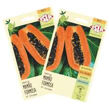 2X Formosa Sunrise ISLA Papaya Seeds - 杏色 - 查看 1