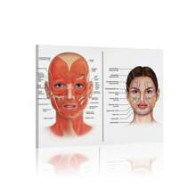 1 bức tranh vải treo tường, áp phích giải phẫu khuôn mặt, cơ và tĩnh mạch trên khuôn mặt, nghệ thuật phẫu thuật thẩm mỹ, chuyên gia mát-xa, tranh vải cổ điển, nghệ thuật treo tường thẩm mỹ viện làm đẹp ống tiêm - Nhiều màu - Xem 9