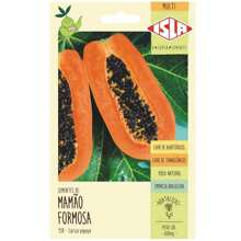 2X Formosa Sunrise ISLA Papaya Seeds - 杏色 - 查看 3