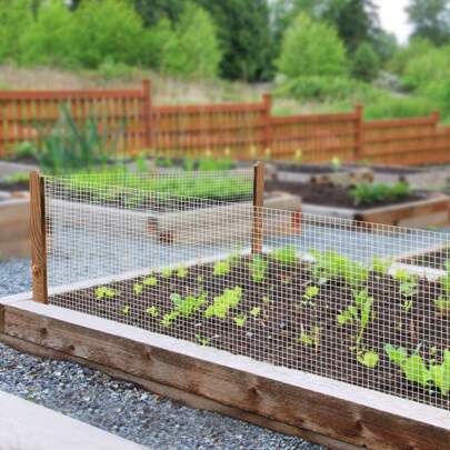  CNCEST 1/4 Inch Hardware Cloth 36" X 50' 23 Gauge Galvanized Wire Fencing Square Mesh Openings Heavy Duty Galvanized Wire Fence For Home Garden Protection Fencing, Animal Enclosure