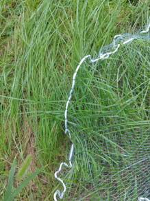 Plastic Wire Fishing Net Diameter 180-720cm Fishing Net Monofilament Outdoor Hand Cast Nets Iron Pendant Fishing Net - White - View 6