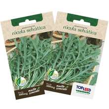 2X TOPSEED Wild Arugula Seeds - 杏色 - 查看 2