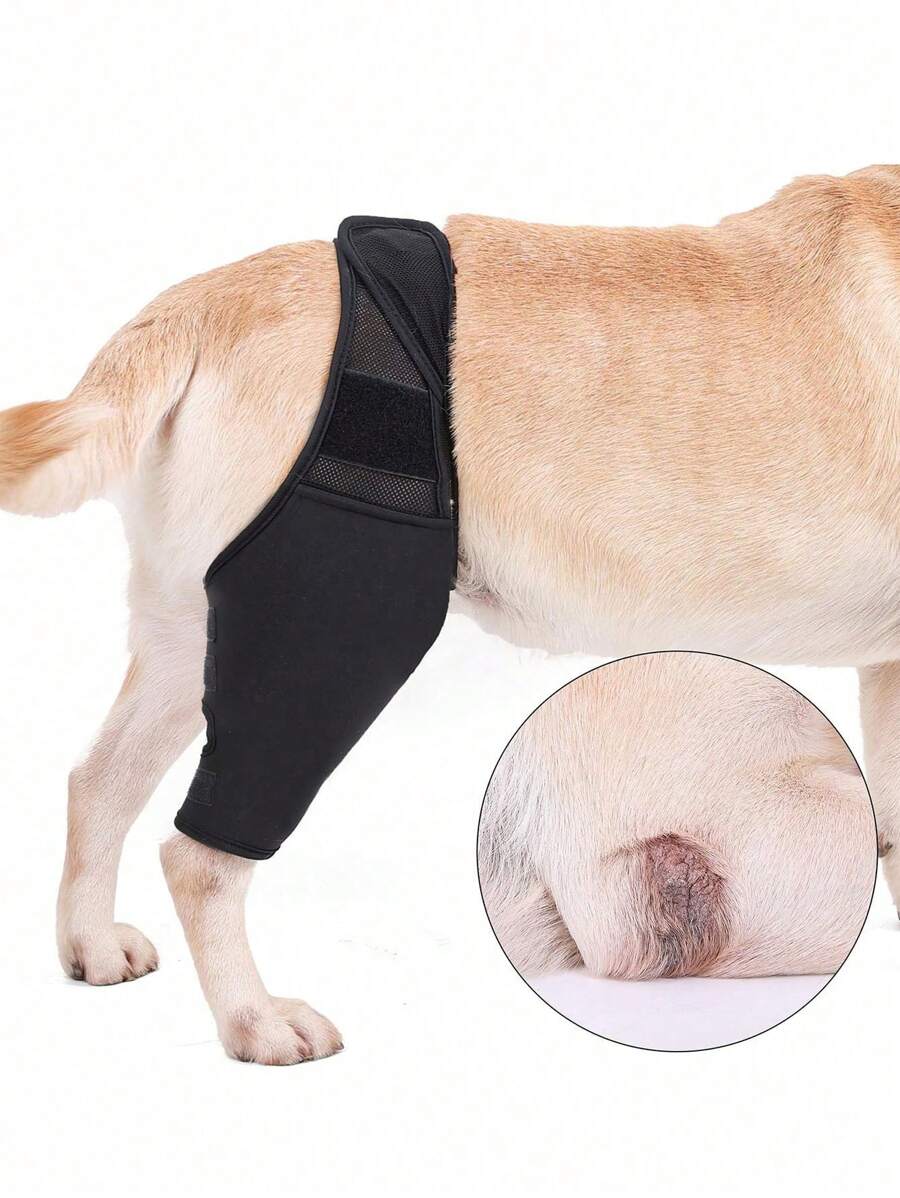 Pets Dog Knee Brace For Luxating Patella Adjustable Knee Brace Leg