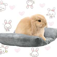 1 pieza Jaula grande para conejo de interior con tapete forrado de peluche - Multicolor - Ver 3