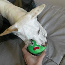 1/2/3pcs Squeaky Dog Toys, Soft Plush Balls With Sound Device, Interactive Food Retrieval Game Suitable For Puppies, Small & Medium Pets (Random Color)