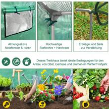Froadp HDPE+LDPE Film Greenhouse+Galvanized Steel Tubes, With Window, For Tomatoes, Weatherproof, UV Protection (Green) - 3x2x2m - View 4