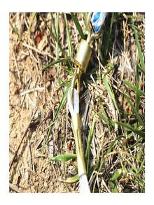 海洋捕鱼抛网，用于诱饵陷阱、轮胎线海水捕鱼抛网，便携式抛网带铝环折叠诱饵网，适用于海水和淡水的抛网，高品质手工抛投单丝渔网，魔术旋转网，易于抛投 - 紅木色 - 查看 5