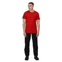 Regatta Mens Pro Cotton Soft Touch T-Shirt (Classic Red) - Red - View 2