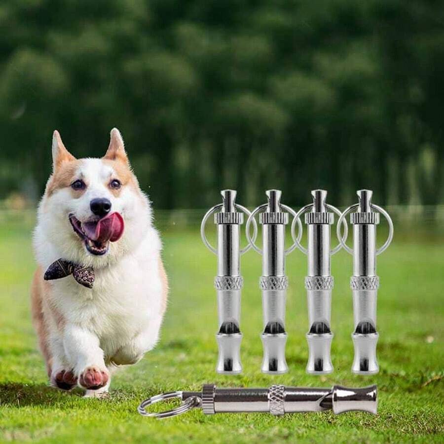 1pc Dog Whistle With Key Chain, Professional Pet Dog & Cat Training