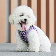 Bộ dây nịt và dây xích cho chó có đệm lưới mềm phản quang có thể điều chỉnh, phù hợp cho chó vừa và nhỏ - Nhiều màu - Xem 7