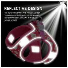 Bộ dây nịt và dây xích cho chó có đệm lưới mềm phản quang có thể điều chỉnh, phù hợp cho chó vừa và nhỏ - Nhiều màu - Xem 5