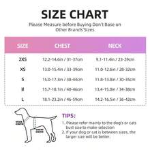 Bộ dây nịt và dây xích cho chó có đệm lưới mềm phản quang có thể điều chỉnh, phù hợp cho chó vừa và nhỏ - Nhiều màu - Xem 3